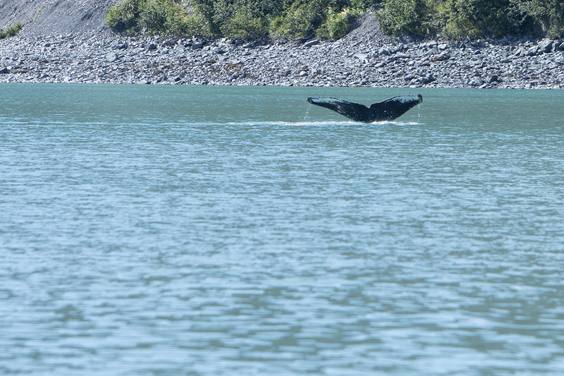 5G7A4774_R1 copy.jpg