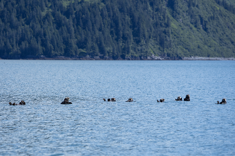 5G7A4813_R1 copy(1).jpg