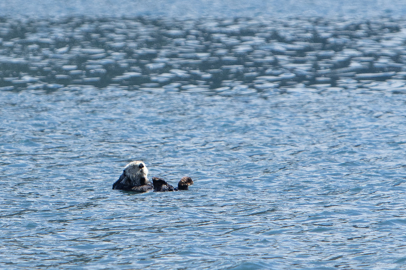 5G7A4859_R1 copy.jpg