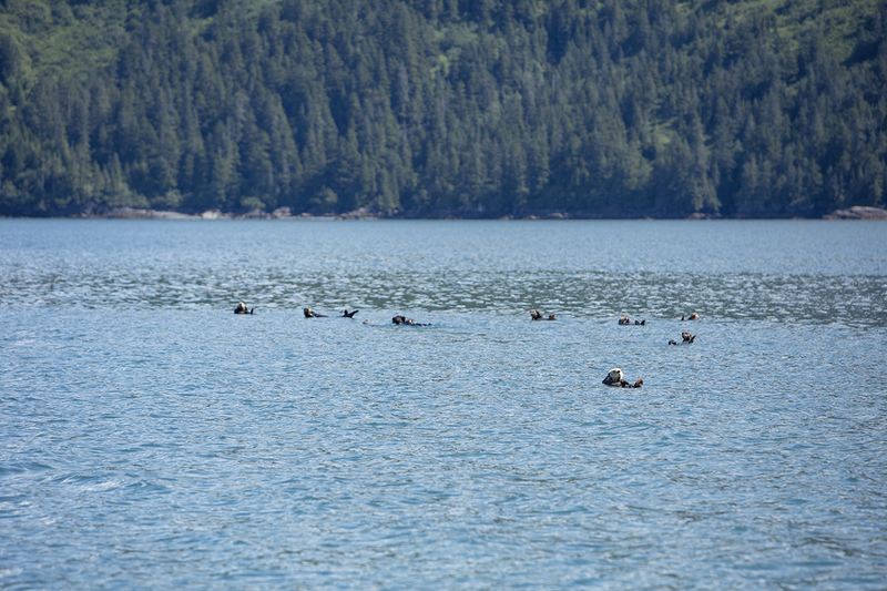 5G7A4867_R1 copy.jpg