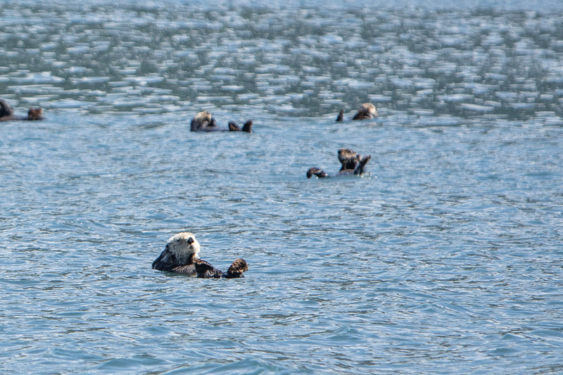 5G7A4867_R1_1 copy(1).jpg