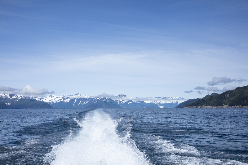 5G7A4908_R1 copy(1).jpg