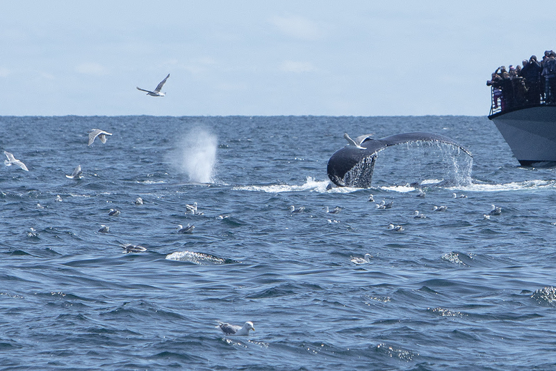 5G7A5027_R1 copy.jpg