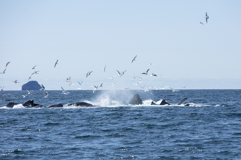 5G7A5050_R1 copy.jpg