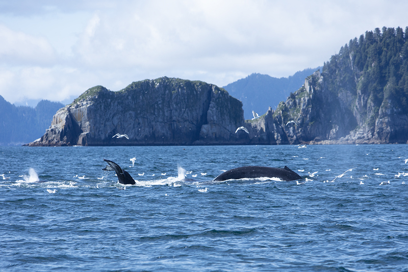 5G7A5101_R1 copy(1).jpg