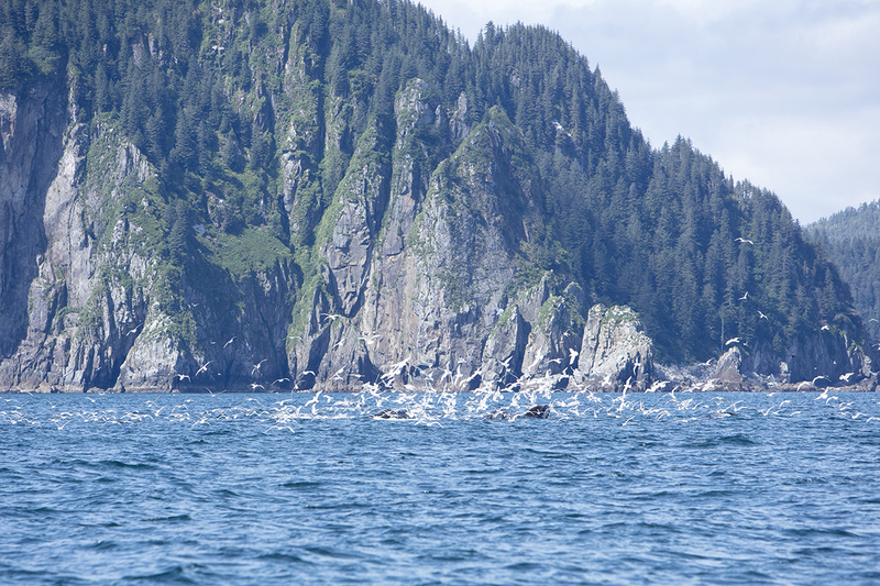 5G7A5140_R1 copy.jpg