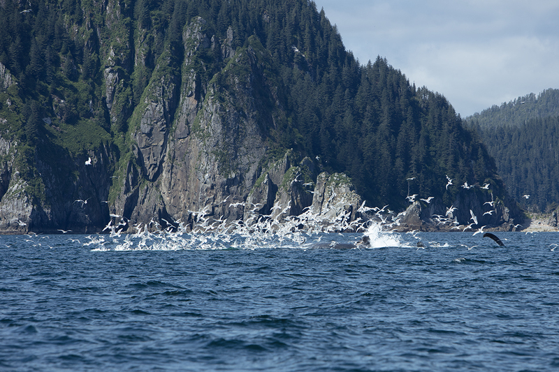 5G7A5152_R1 copy.jpg