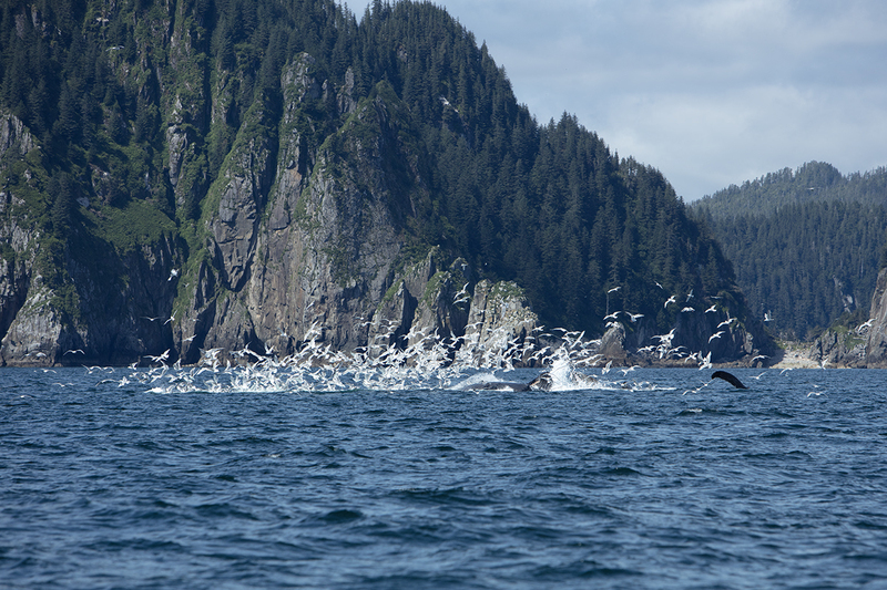 5G7A5153_R1 copy.jpg