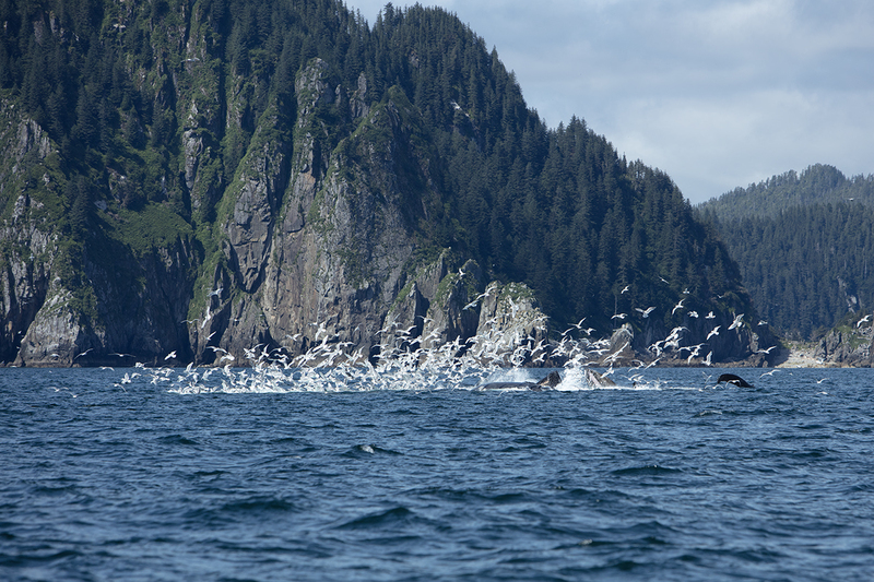 5G7A5154_R1 copy(1).jpg