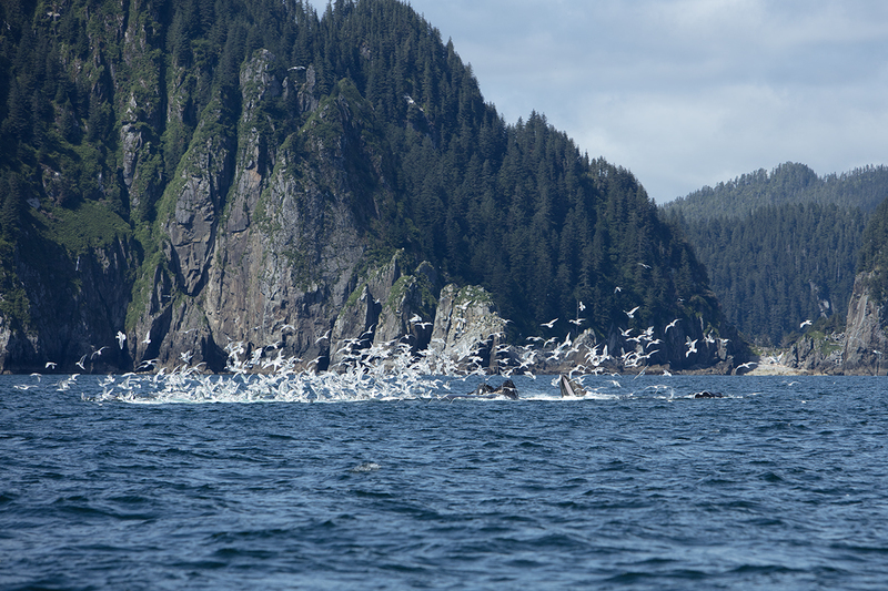 5G7A5155_R1 copy.jpg