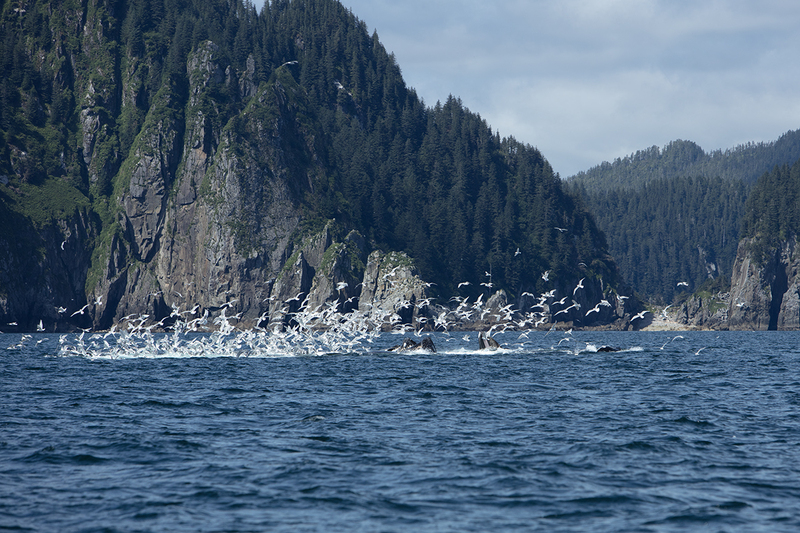 5G7A5156_R1 copy(1).jpg