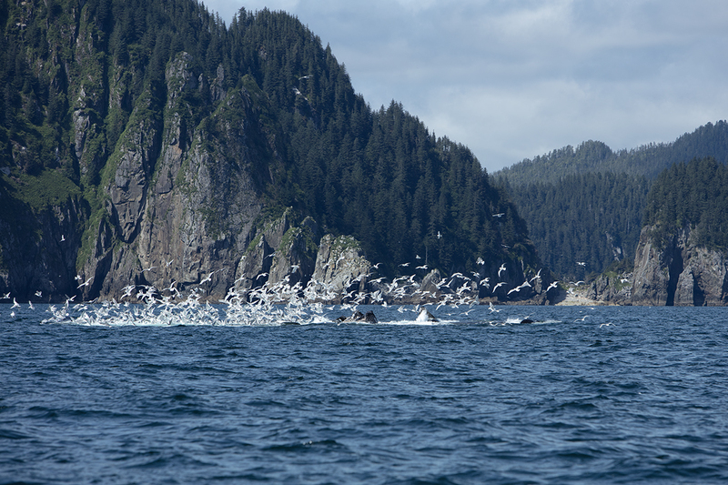 5G7A5157_R1 copy.jpg