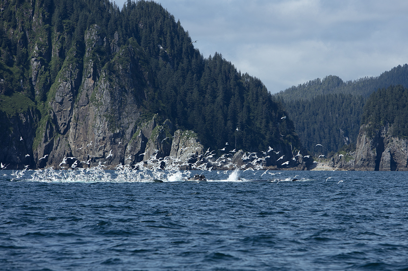 5G7A5158_R1 copy(1).jpg