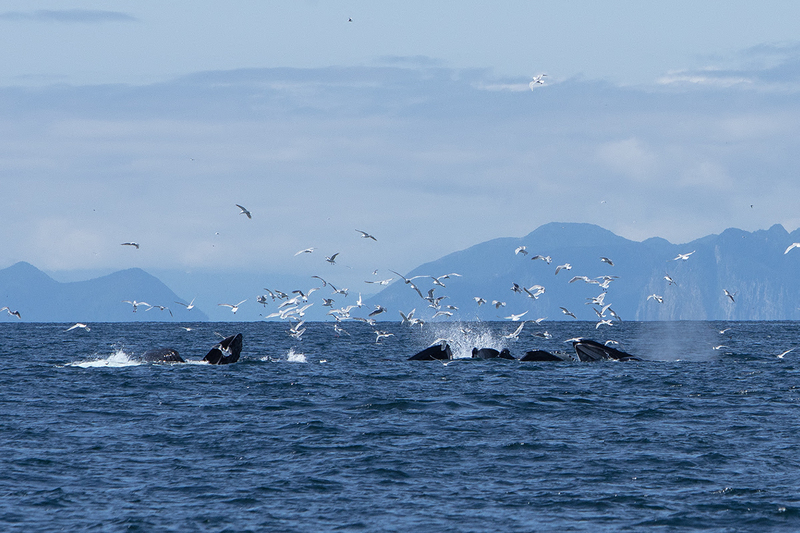 5G7A5187_R1 copy.jpg