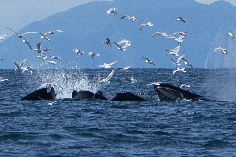 5G7A5187_R1_1 copy.jpg