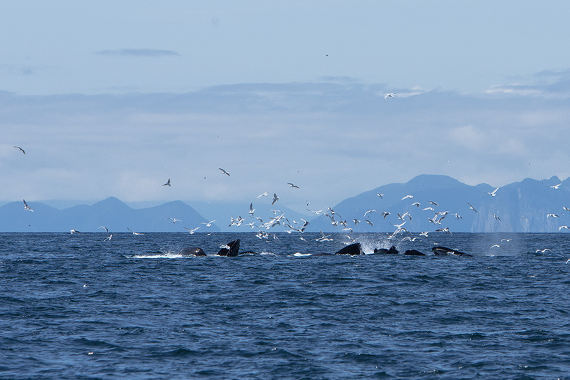 5G7A5188_R1 copy(1).jpg