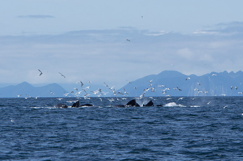 5G7A5190_R1 copy.jpg