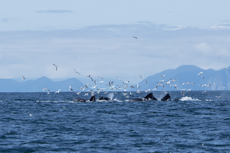 5G7A5191_R1 copy.jpg