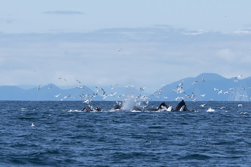 5G7A5192_R1 copy.jpg