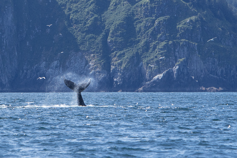 5G7A5220_R1 copy(1).jpg