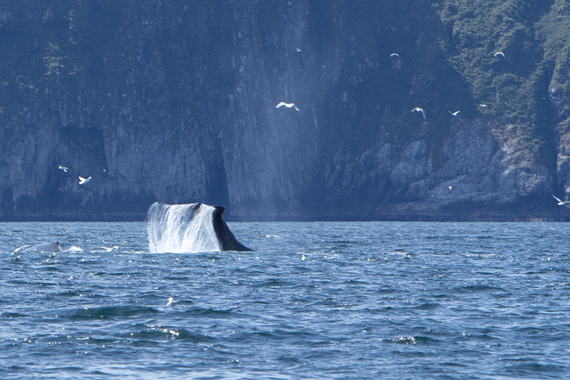 5G7A5231_R1 copy(1).jpg