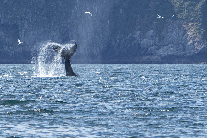 5G7A5232_R1 copy(1).jpg