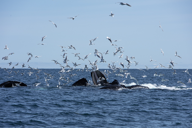 5G7A5330_R1 copy(1).jpg