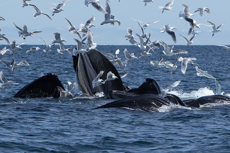 5G7A5330_R1_1 copy.jpg