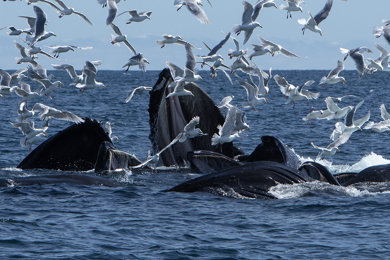 5G7A5331_R1 copy.jpg