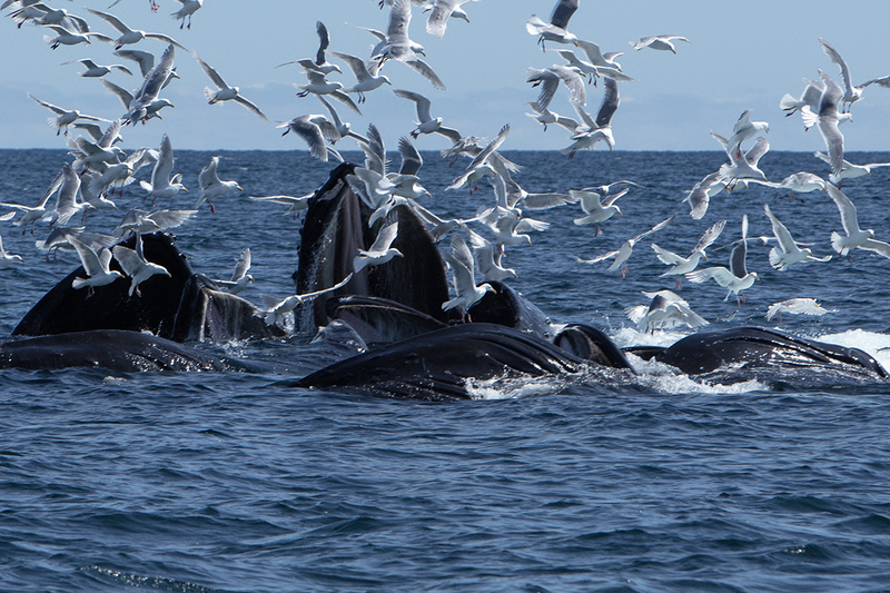 5G7A5332_R1 copy.jpg