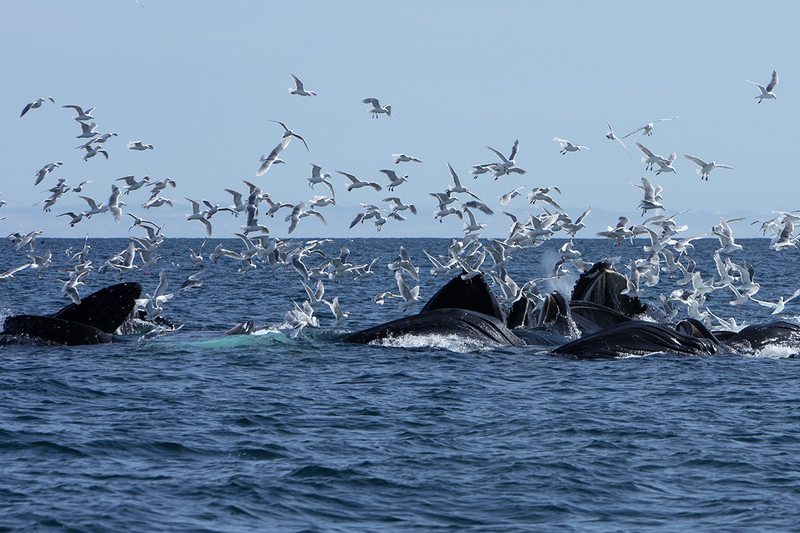 5G7A5334_R1 copy(1).jpg