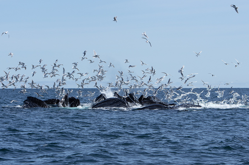 5G7A5338_R1 copy(1).jpg