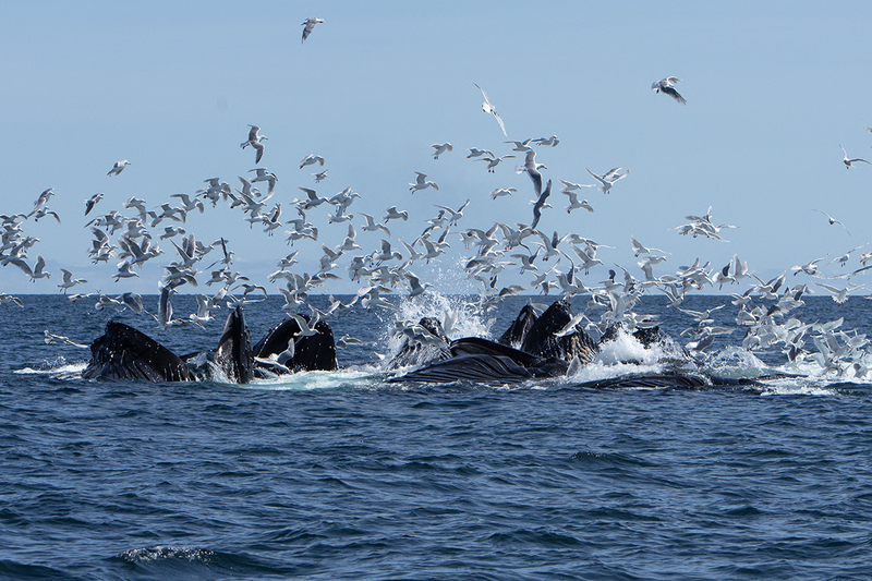 5G7A5340_R1 copy.jpg