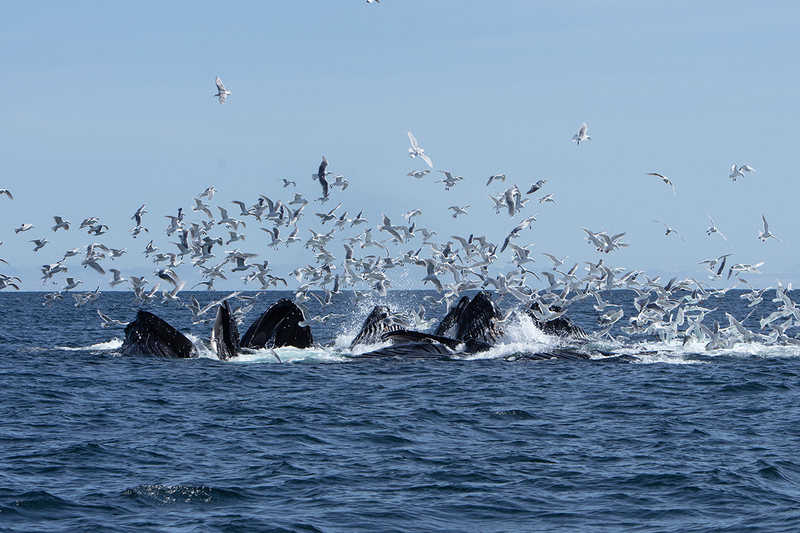 5G7A5341_R1 copy.jpg