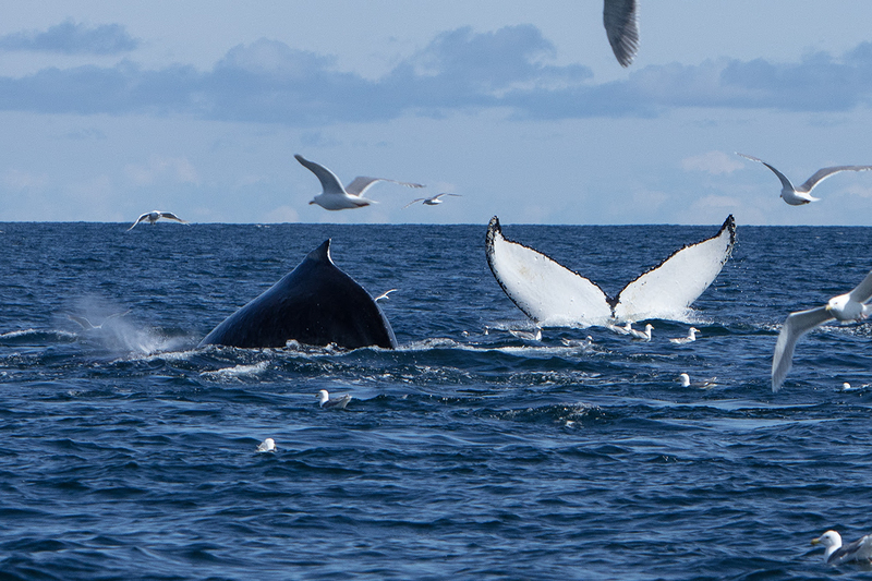 5G7A5368_R1 copy(1).jpg