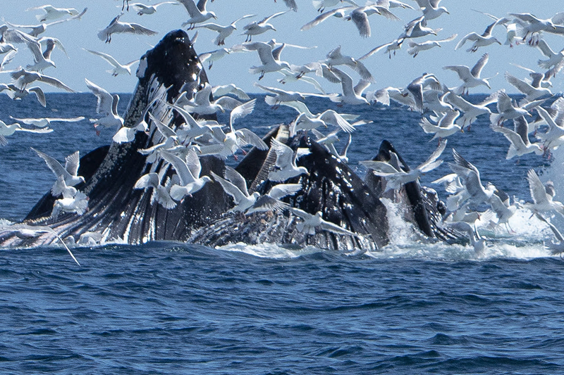 5G7A5407_R1 copy.jpg