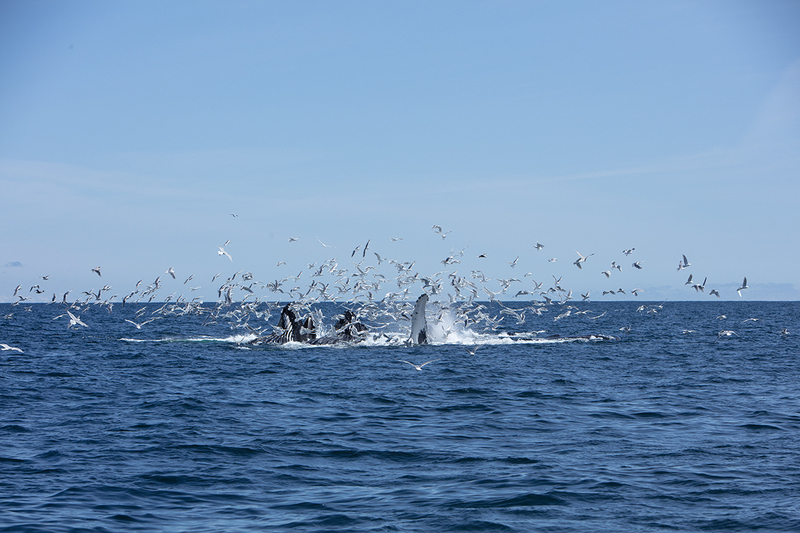 5G7A5411_R1 copy.jpg