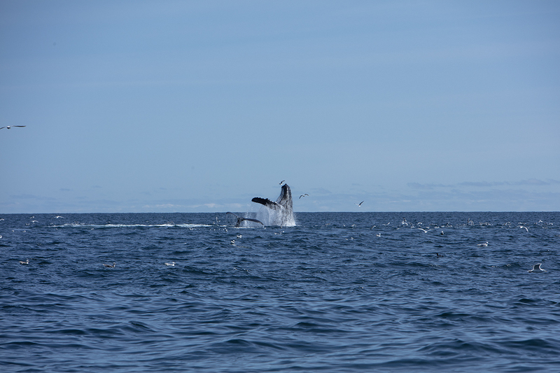 5G7A5463_R1 copy(1).jpg