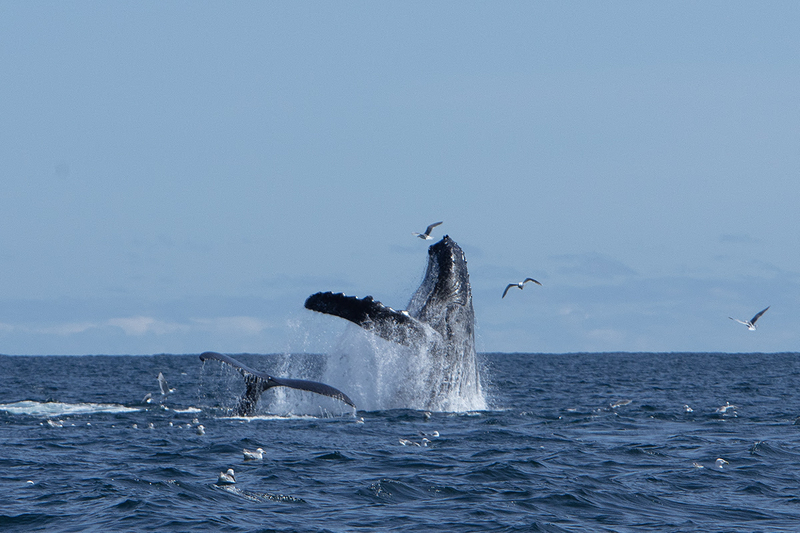 5G7A5463_R1_1 copy(1).jpg