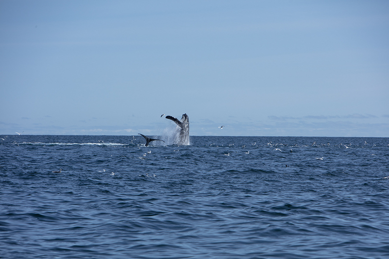 5G7A5464_R1 copy(1).jpg