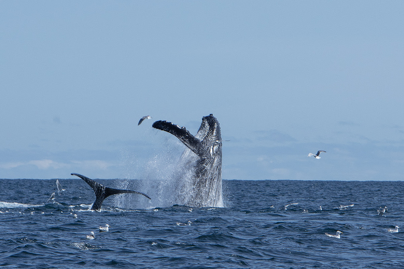 5G7A5464_R1_1 copy(1).jpg