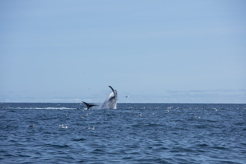 5G7A5465_R1 copy.jpg