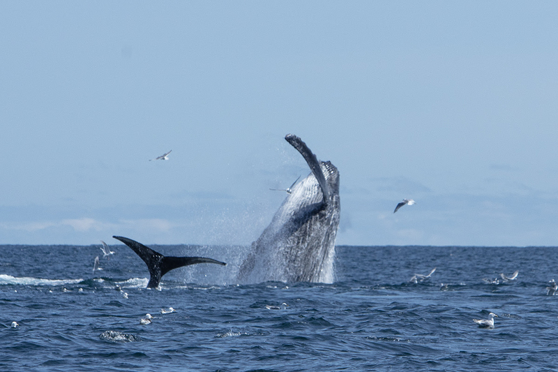 5G7A5465_R1_1 copy(1).jpg