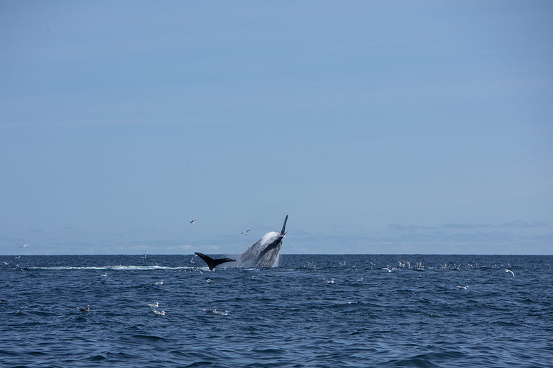 5G7A5466_R1 copy.jpg