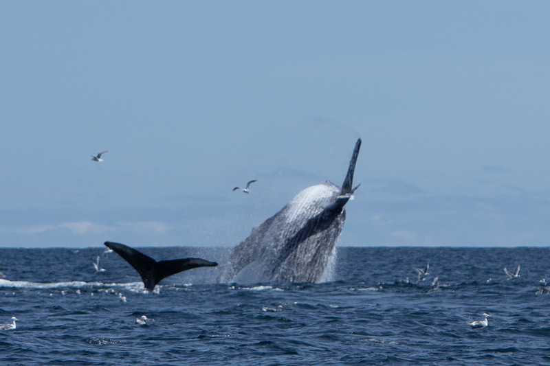 5G7A5466_R1_1 copy(1).jpg