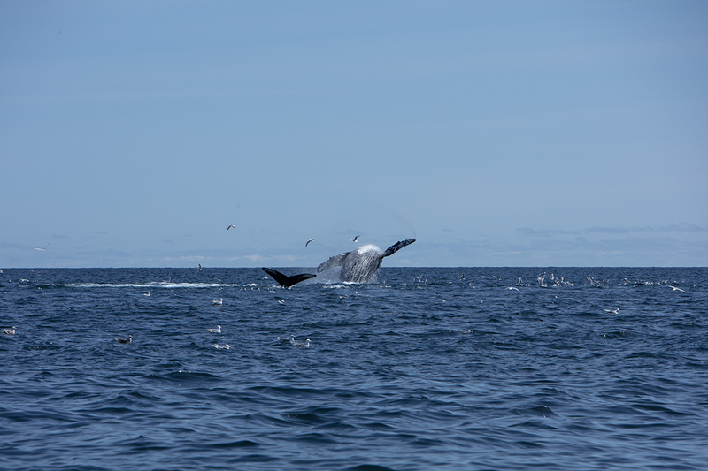 5G7A5467_R1 copy.jpg