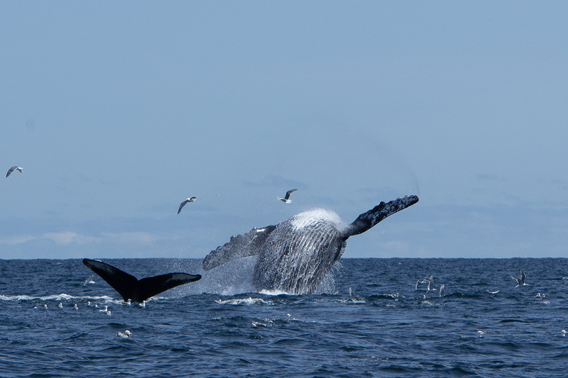 5G7A5467_R1_1 copy(1).jpg