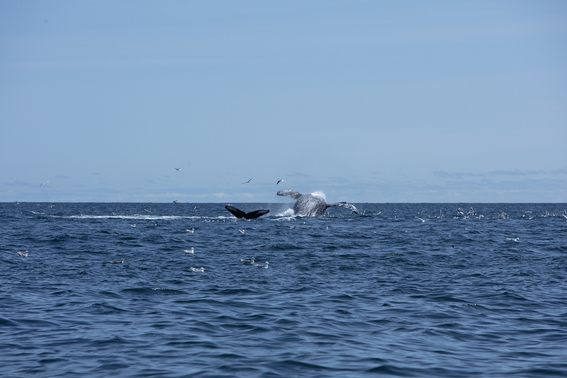 5G7A5468_R1 copy(1).jpg