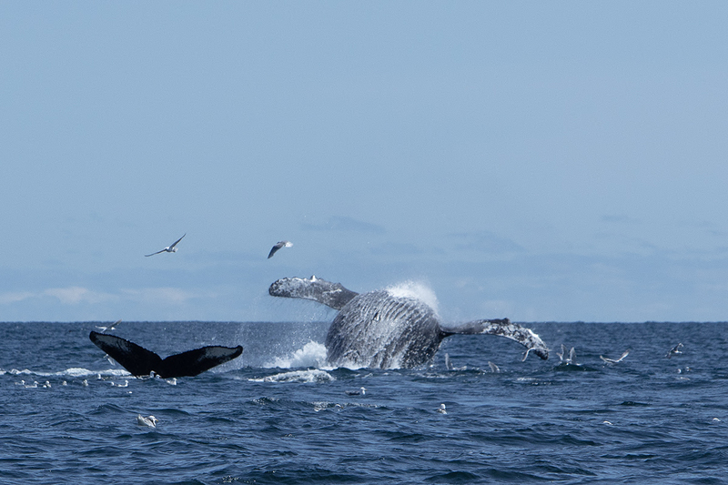 5G7A5468_R1_1 copy(1).jpg