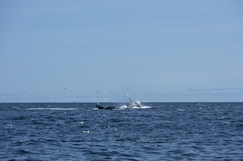 5G7A5469_R1 copy.jpg